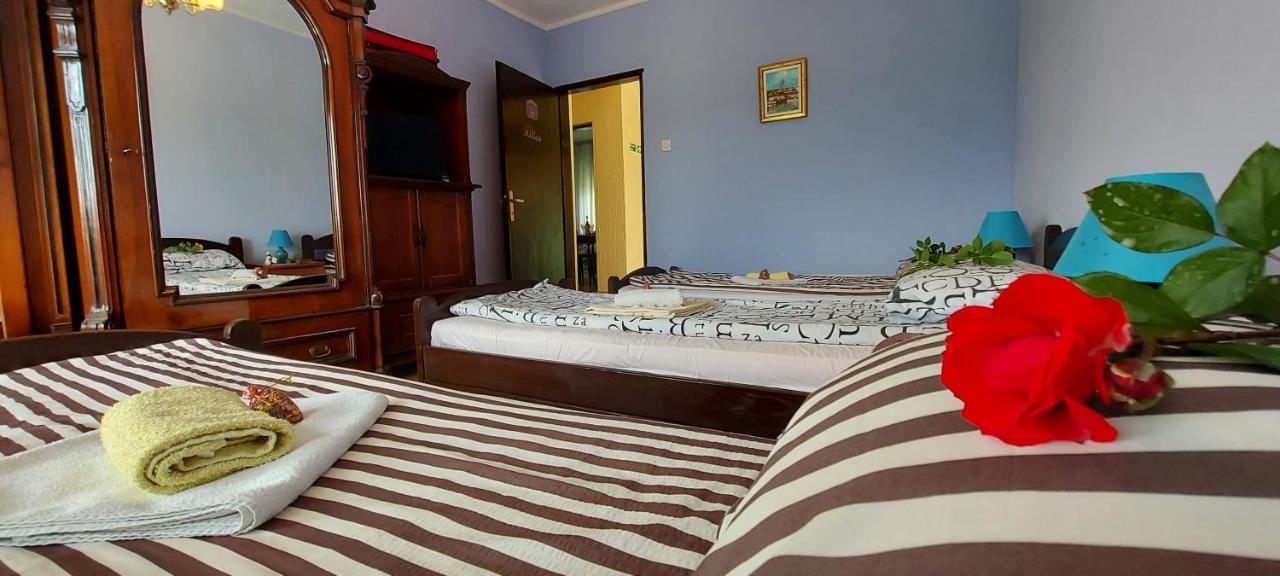 Guest House Dunavski Raj Kostol Екстер'єр фото