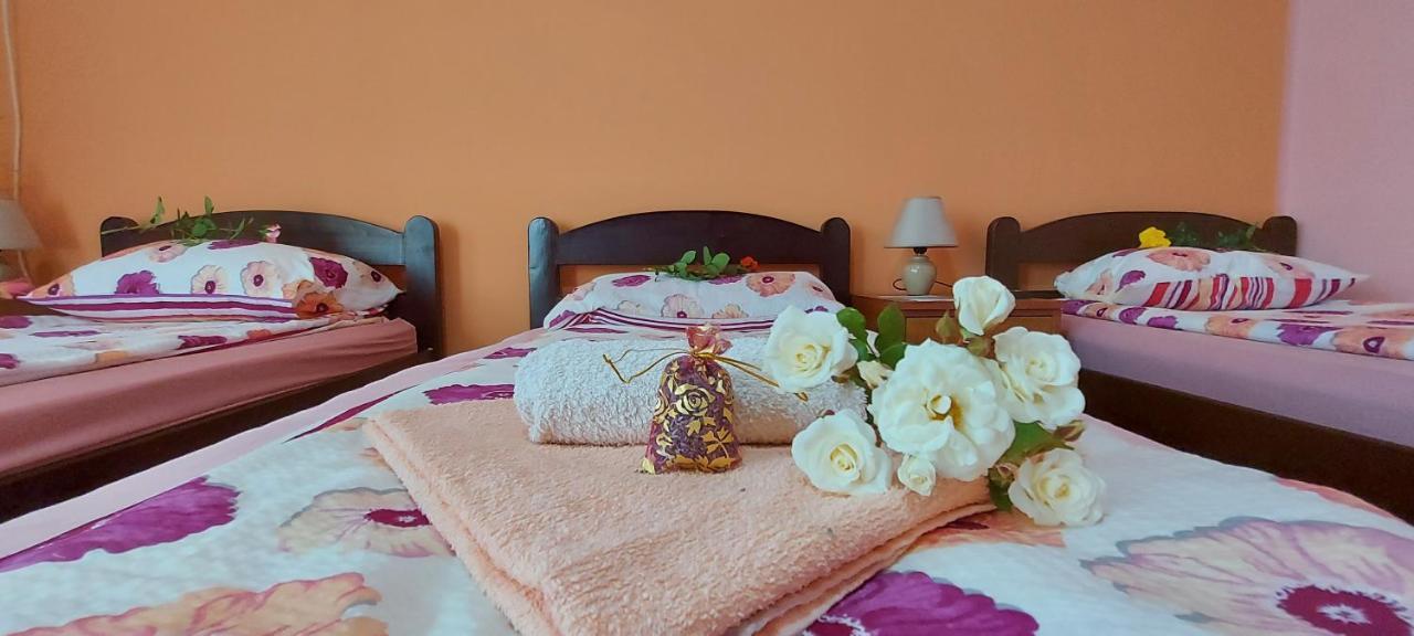 Guest House Dunavski Raj Kostol Екстер'єр фото