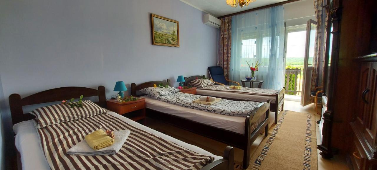 Guest House Dunavski Raj Kostol Екстер'єр фото